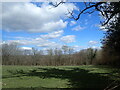 Field alongside Dundale Road