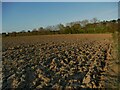 SE3650 : Ploughed field east of Whins Lane by Stephen Craven