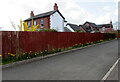 ST4287 : Daffodils alongside a long fence, Millbrook Court, Undy, Monmouthshire by Jaggery