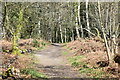 Path south of Round Copse, Langley Wood