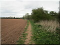 Footpath to Lowdham