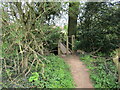 Footbridge near Harlow Wood farm