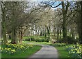 Clifton Castle main driveway