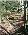 Rustic bridge, Clifton Castle