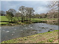 The Ure from Clifton Castle grounds