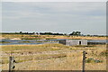 TQ9317 : Hide, Rye Harbour Nature Reserve by N Chadwick