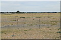 TQ9417 : Rye Harbour National Nature Reserve by N Chadwick