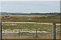 TQ9418 : Rye Harbour National Nature Reserve by N Chadwick