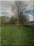 TQ2088 : Silver Jubilee Park, Kingsbury by David Howard