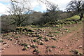 Gweddillion Pen y Pal / Remains of Pen y Pal