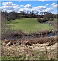 Field in meander loop