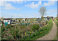 TL7645 : Clare: Upper Common allotments by John Sutton