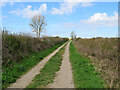 Clare: Sheepgate Lane