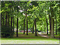 Path to play area, Lords Wood