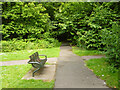 Paths and seat by Hall Wood, Lords Wood