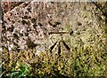 Benchmark on stone in boundary wall of Cote Ghyll Cottage