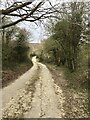 Track leading to Combe Park