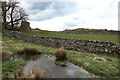 Ruin near Fell House