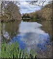 Pool at Hartlebury Castle