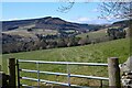 Farmland at Fairnilee