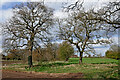 Farmland and woodland near Seisdon in Staffordshire