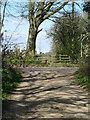 Two paths and a road at Lingerfield