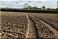 Footpath across field