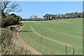 SU2831 : Field north of Yew Tree Lane by David Martin