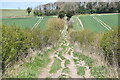 Rutted by-way north of Broughton Down