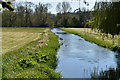 Wallop Brook below Rookery Lane, Broughton