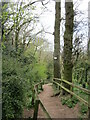 Steep path down The Cliffs at Radcliffe on Trent