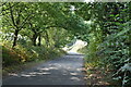 TQ6118 : Lane to Warbleton by N Chadwick