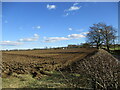 Ploughed field near West Struther