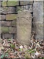 Old Boundary Marker on Dean Lane in Triangle