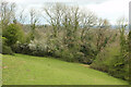 Field on Emblett Hill