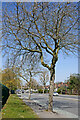 Tipton Road near Dudley