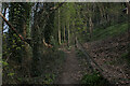 Footpath Climbing through Woods towards Hipperholme