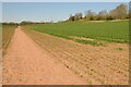 SO7559 : Footpath crossing an arable field by Philip Halling