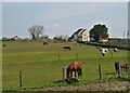 A view of Stubbinghill Farm