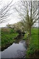 Stour Brook Near the End of Linnets Lane