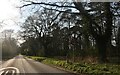 Entering Barnham on Barnham Heath