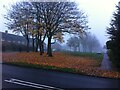 November morning on Geraldsfield Road