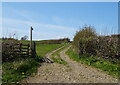 SD5376 : Farm track (footpath) off Dalton Lane by JThomas
