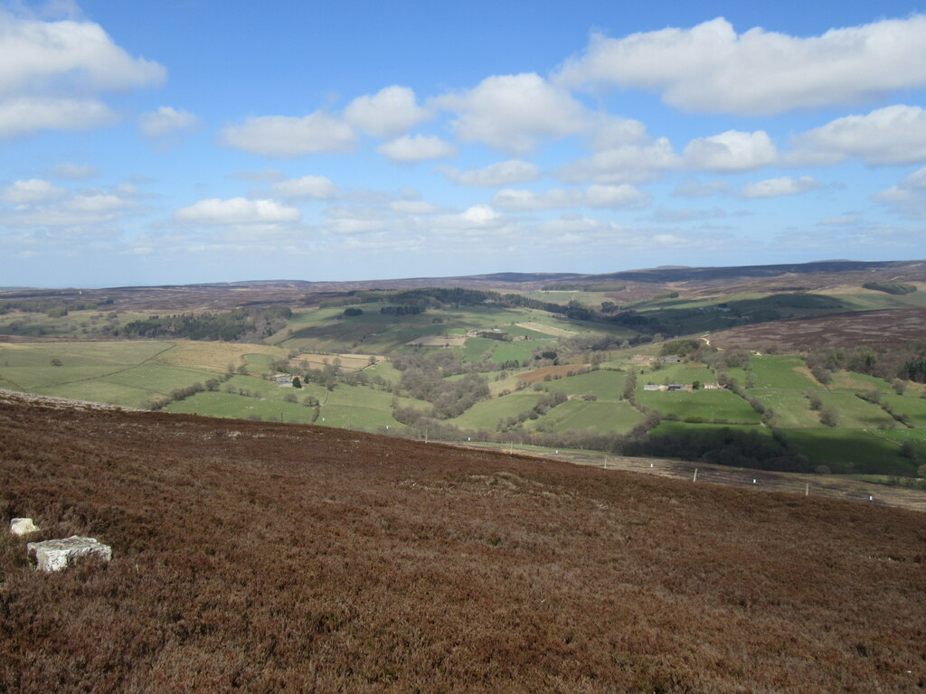 Looking towards Snilesworth © T Eyre :: Geograph Britain and Ireland