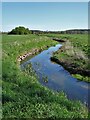 The River Torne east of Tickhill