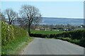 Lane towards Welbury crossing