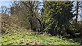 Clun Castle and the River Clun