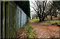 Footpath running through Vicarage Farm Heath, Kidderminster, Worcs