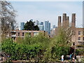 View of Canary Wharf and Greenwich Power Station from Greenwich Park