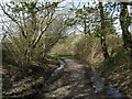 Bryngwyn railway footpath